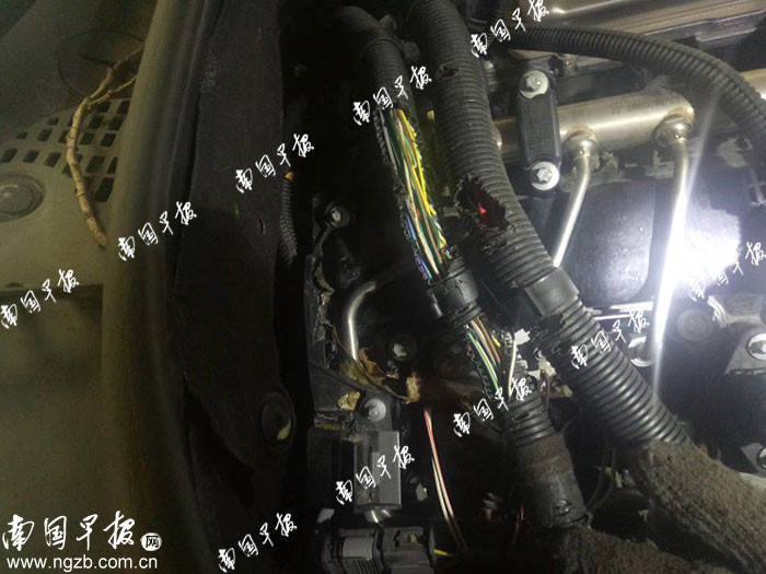 宝马车老鼠咬断线路,宝马线束被老鼠咬断了