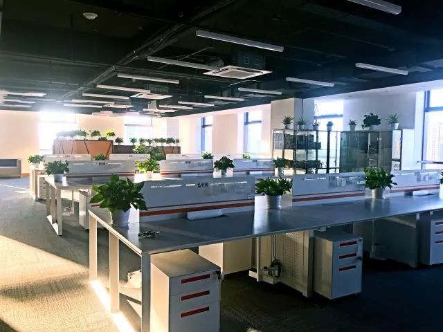 电魂网络总部在哪里,电魂网络