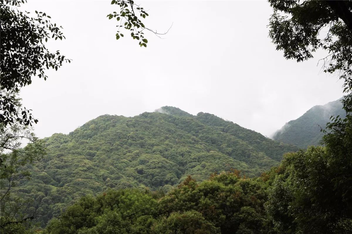 芒市黑河老坡沿途自然风景,芒市苤菜坝和黑河老坡一样吗