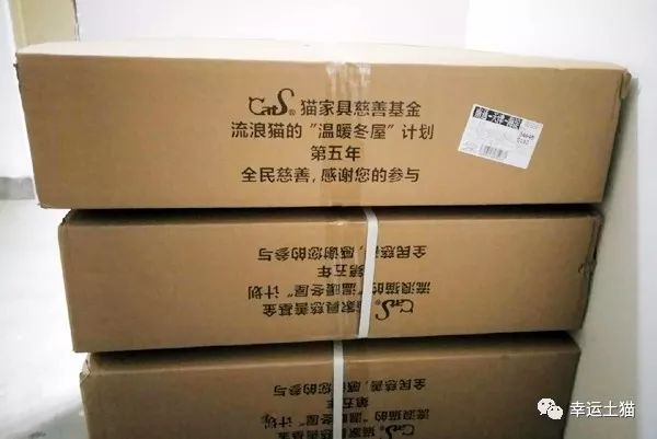 2017温暖继续！感谢CATS慈善基金连续五年为流浪猫提供温暖冬屋！