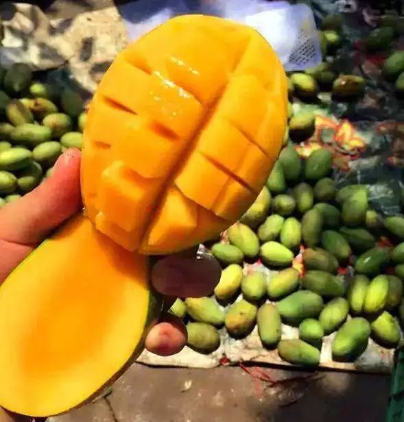 一封云南的特殊来信,一封来自云南的感谢信