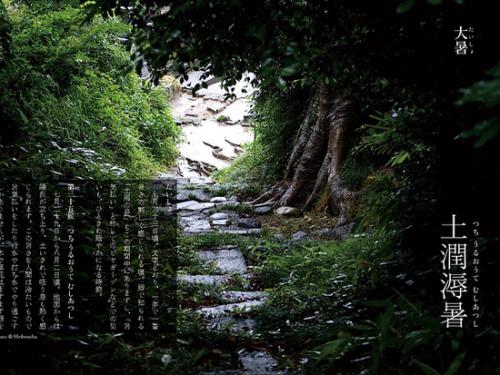 大暑饮伏茶，并非所有食物都能与茶同食，这些食物再爱也不行！