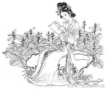 “冰肌玉骨，自清凉无汗”念完这首词，肯定凉快多了！