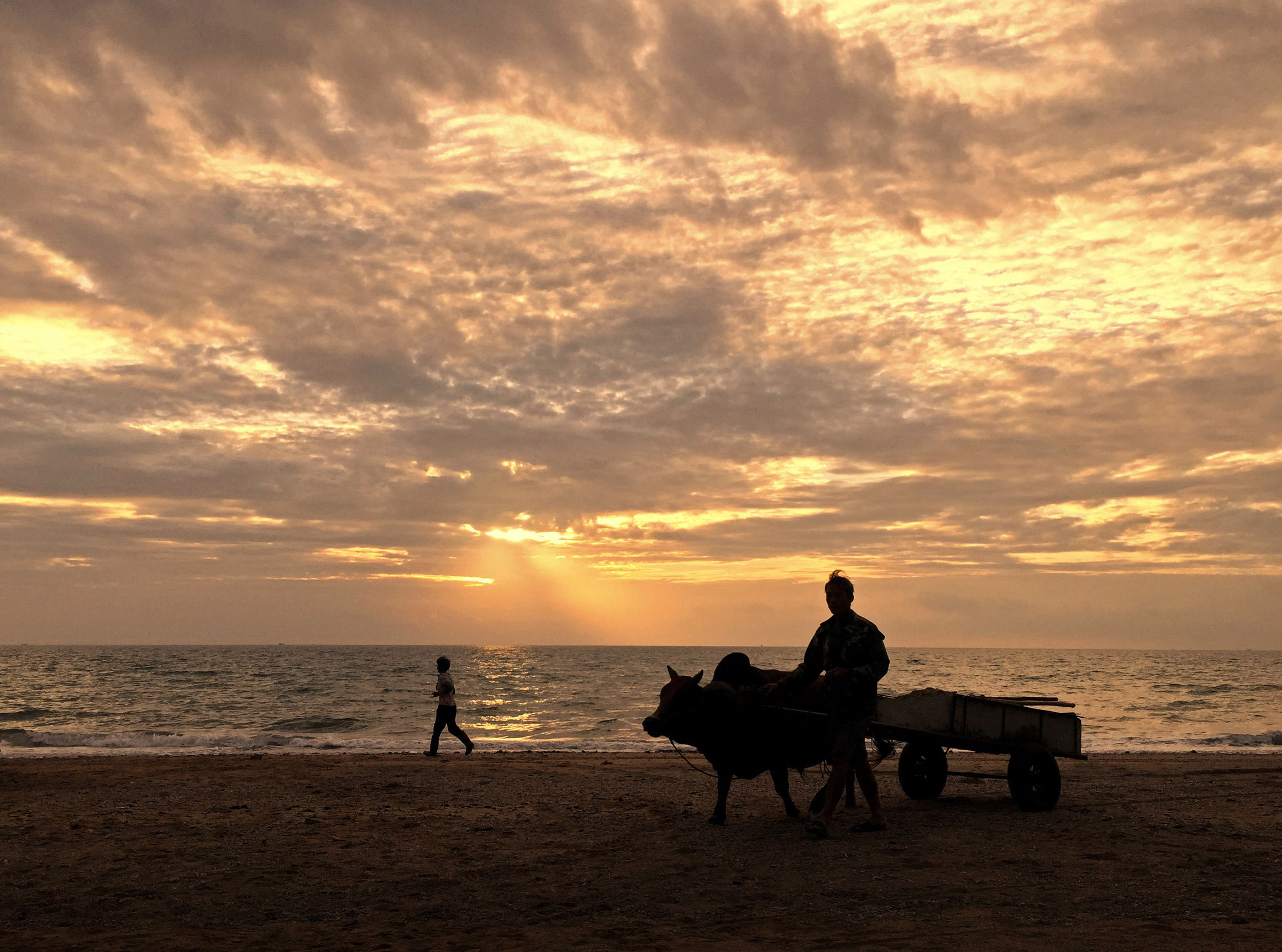 涠洲岛中国最大最年轻的火山岛,最大的火山岛涠洲岛