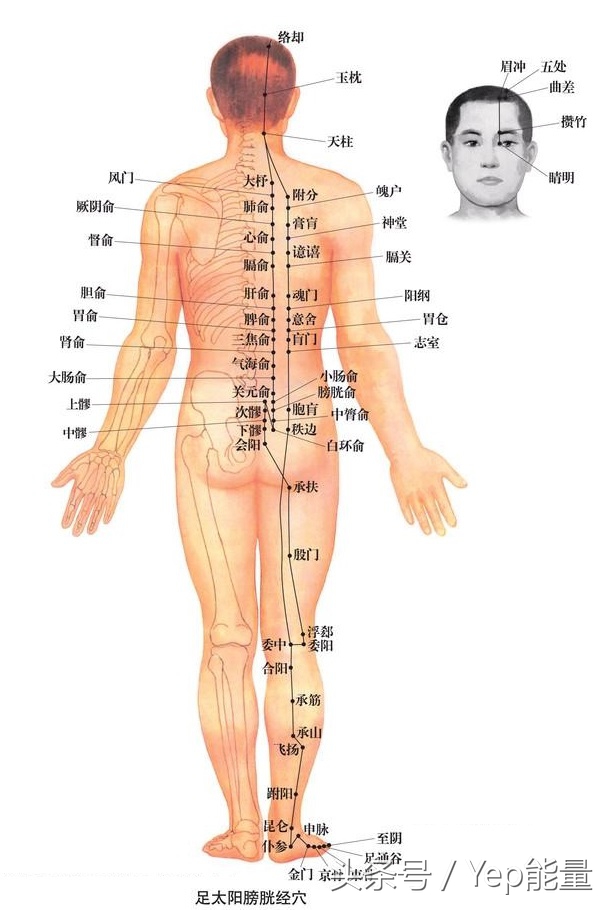 患者必须要了解的腰椎间盘突出的自我治疗与康复锻炼