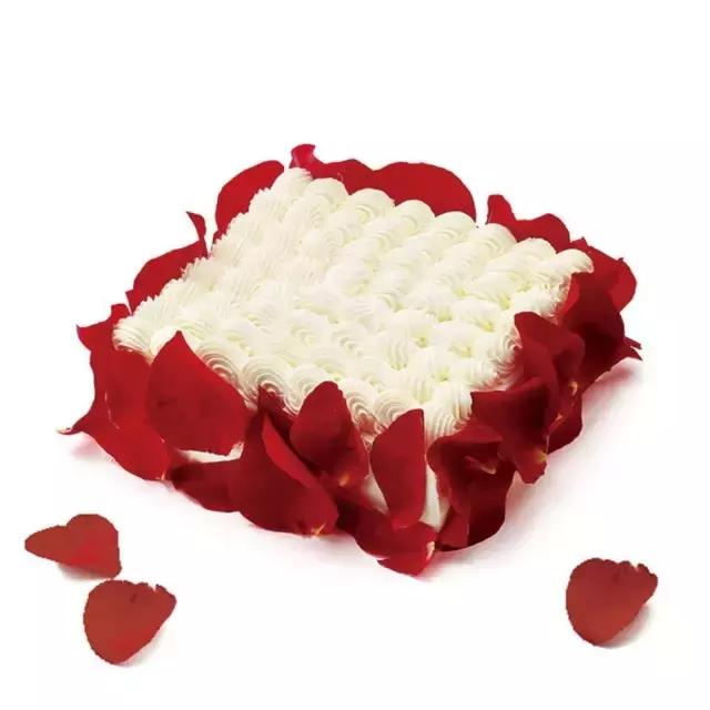 帝都的网红蛋糕,我都替你们吃了|超全订蛋糕指南