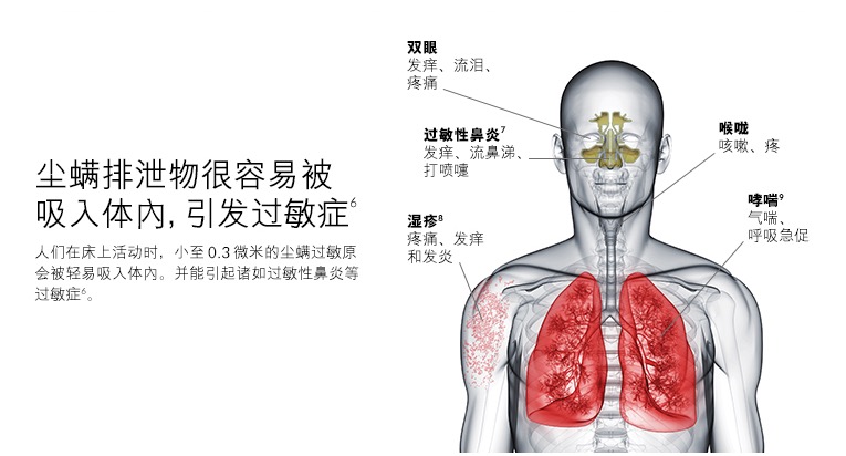 除螨仪哪个好测评,十大公认好用的除螨仪性价比