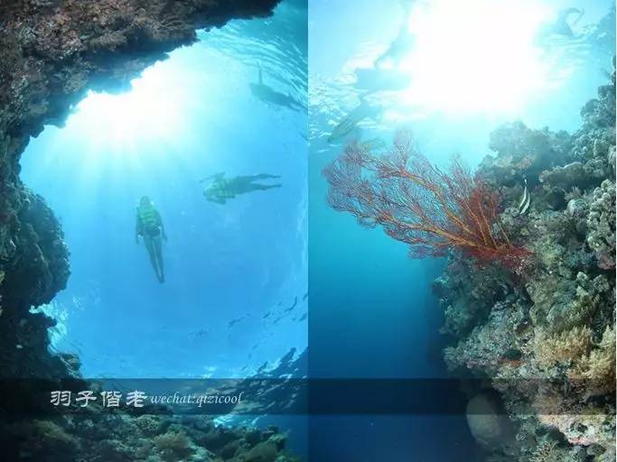 帕劳旅游发展的前景,去帕劳注意事项和必备品