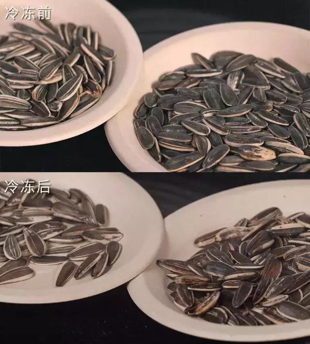 我把整个超市扔进了冷冻室，没想到还挺好吃