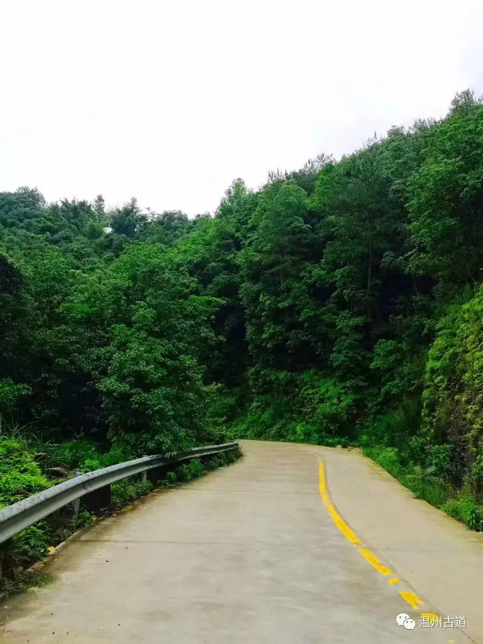 文成县珊溪水库地图,正宗文成珊溪水库有机鱼