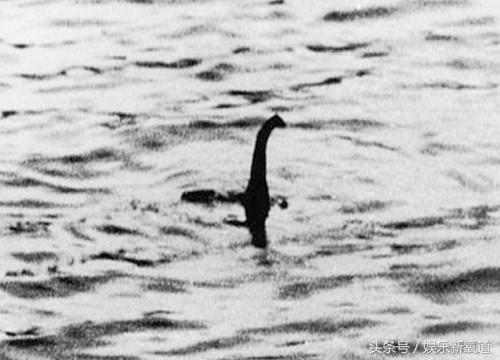 世界十大不可思议生物,十大未知神秘生物