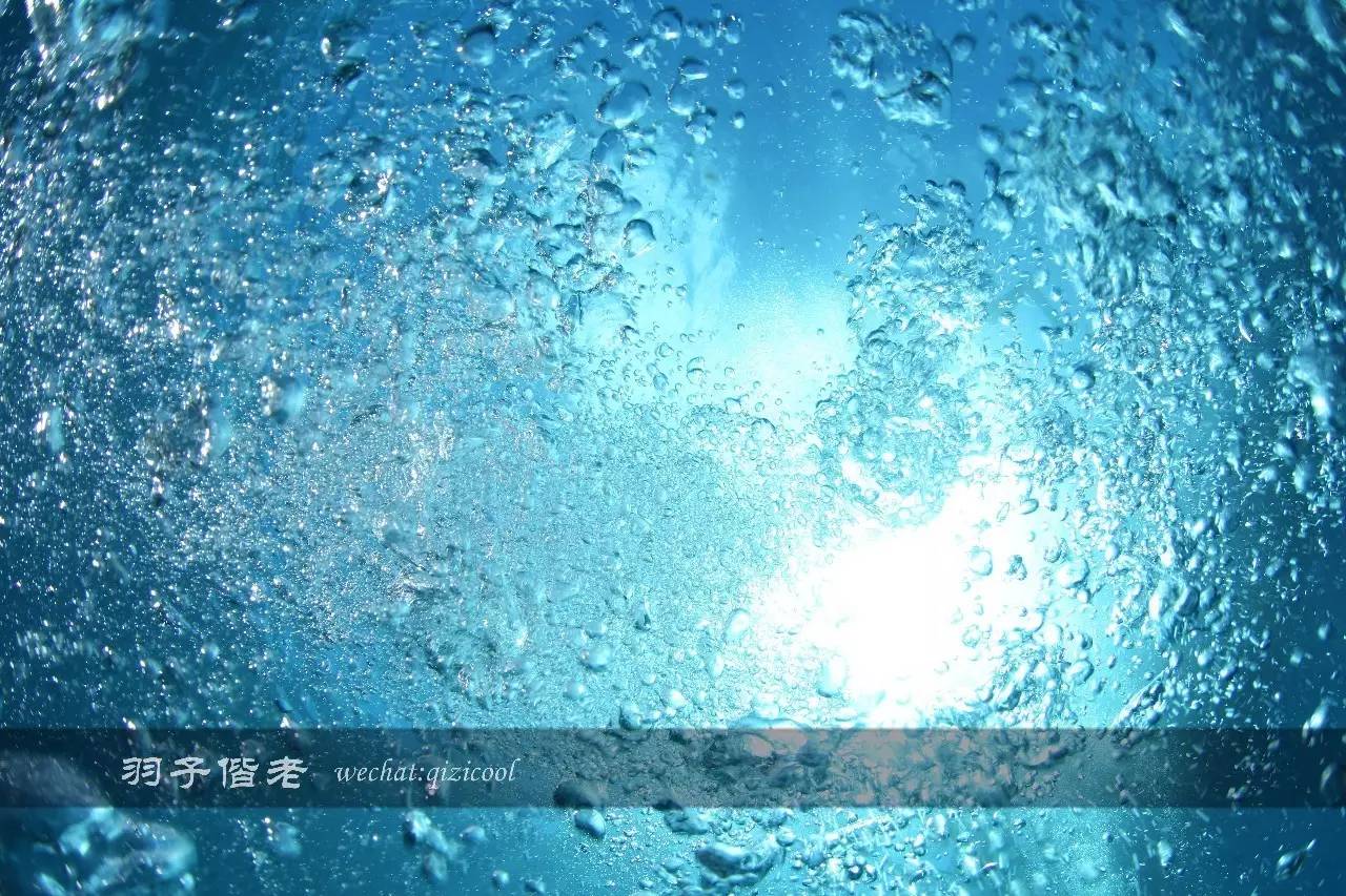 帕劳旅行真实感受,三次帕劳是一种什么体验