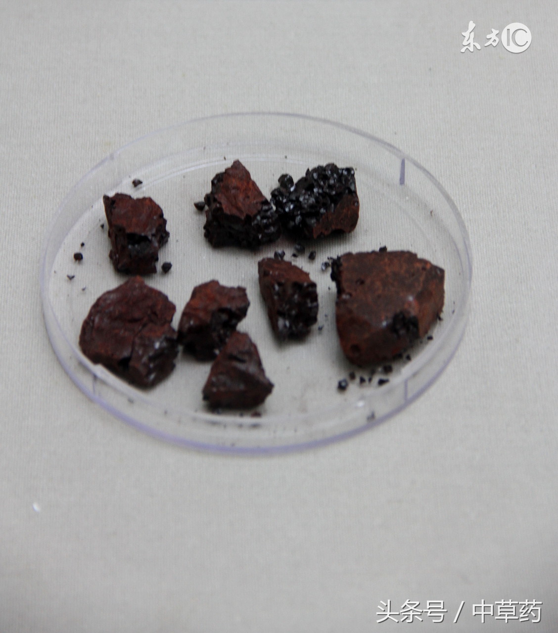 药性歌括四百味清热药,清热燥湿祛风杀虫止痒中药处方