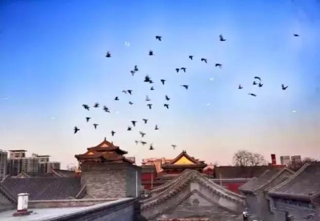 南锣最美胡同,北京南锣鼓巷胡同哪些好吃又便宜