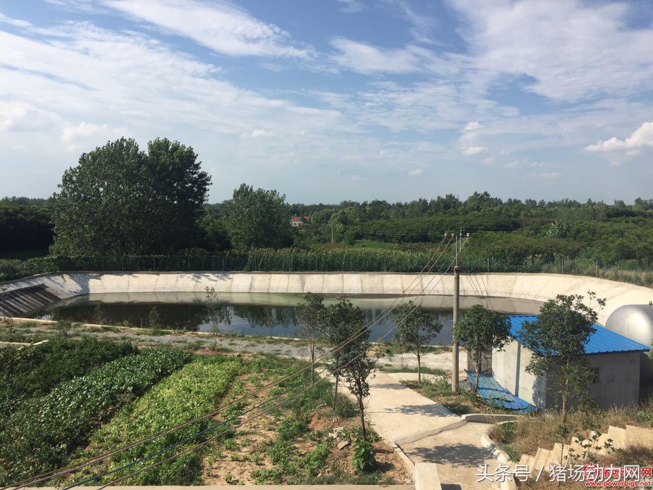 养猪场环保不合格,猪场环保不合格怎么投诉