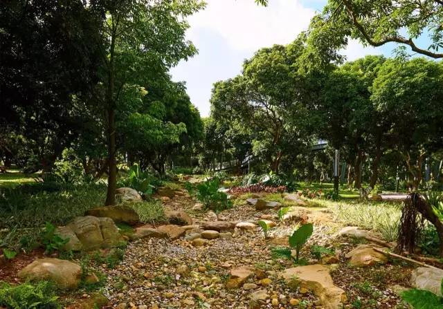 又多了一个免费约会公园！空中栈道、荔枝林、*瑰园玫**，环境超棒的！