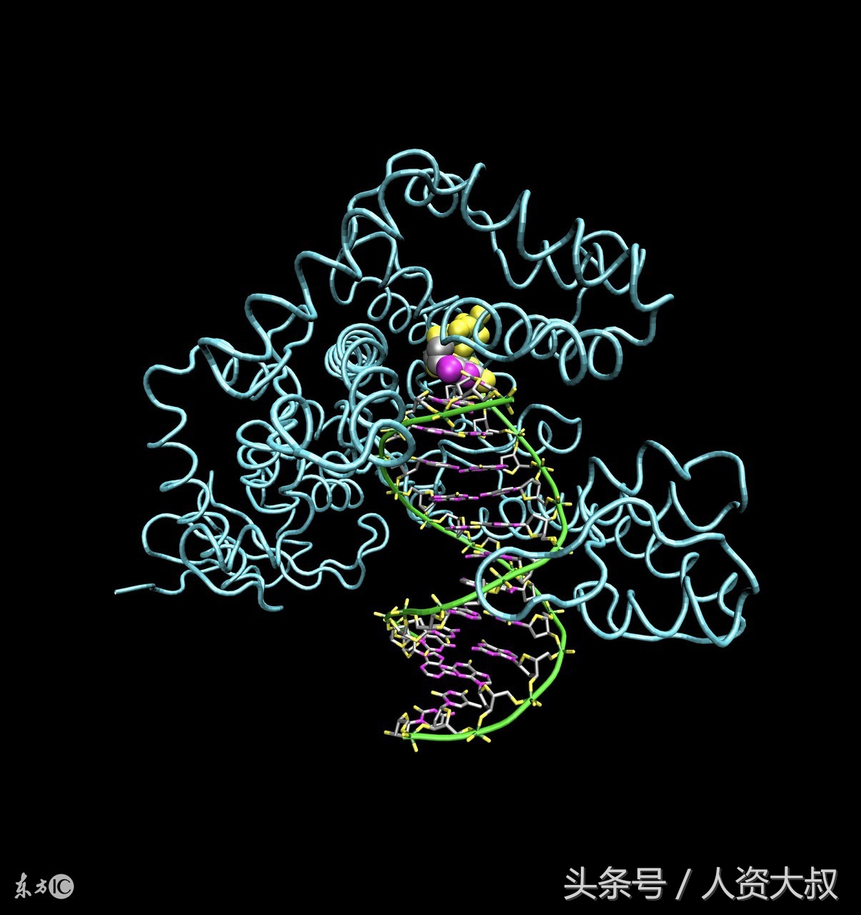 胜任力模型和任职资格体系的区别,hr中级管理岗位胜任力模型