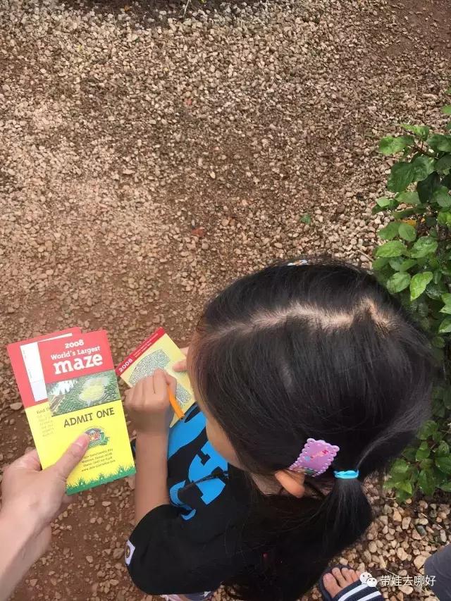 夏威夷大岛带孩子旅游攻略,带娃去夏威夷旅游攻略住宿