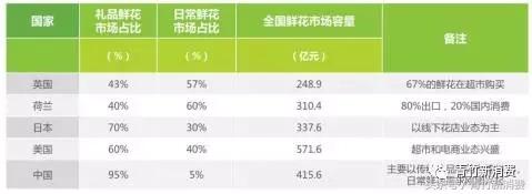 6亿资本作养料，鲜花市场究竟能开成什么样？