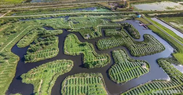 镇江城市双修,镇江双修城市名单