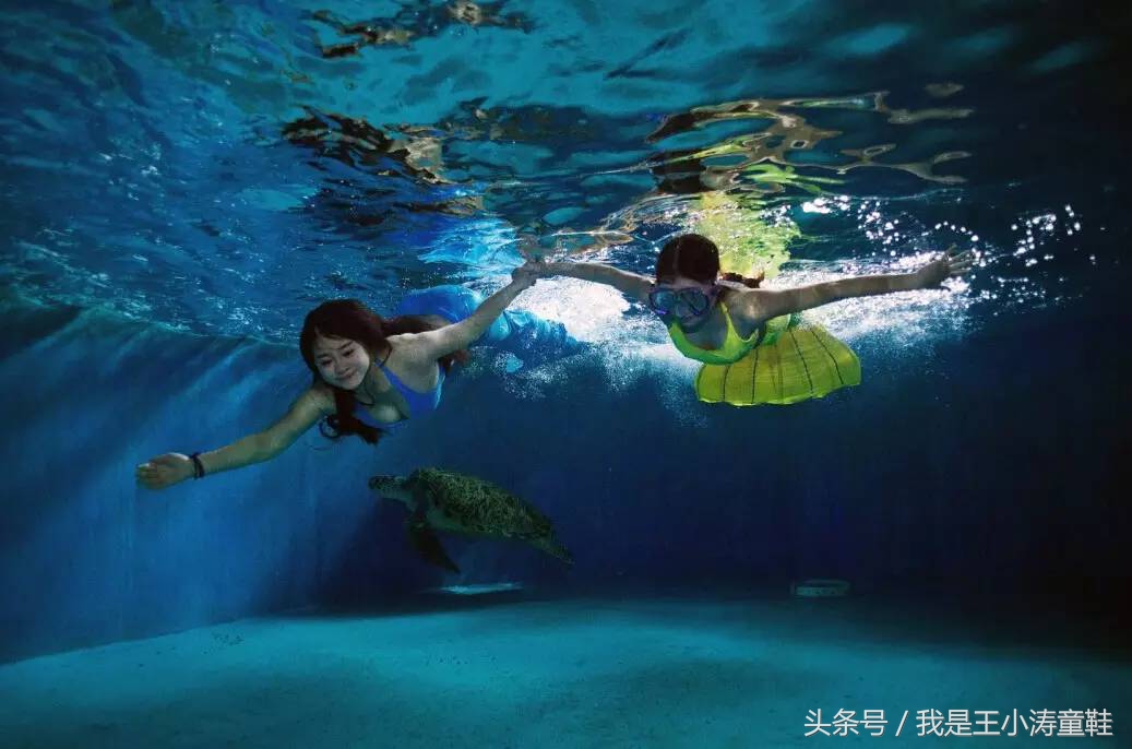 带孩子来游海昌极地海洋世界吧,带着你的宝宝畅游海洋冰雪之旅