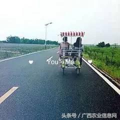 暑假去哪里旅游好进广西,暑假去哪里玩好玩又便宜广西