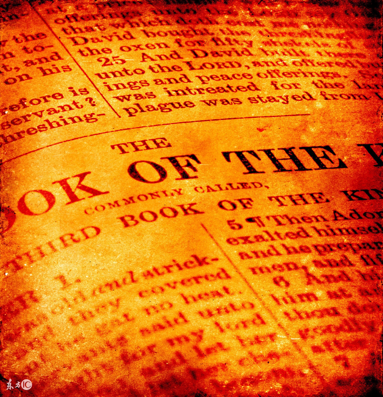 少儿英语培训机构排名前十名,郑州少儿英语培训机构哪个好