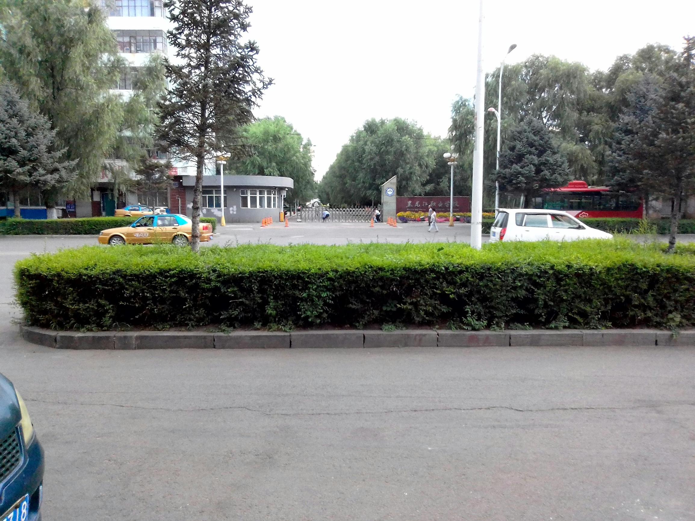 黑龙江游2-3天短途旅游,黑龙江旅游攻略二人多少钱