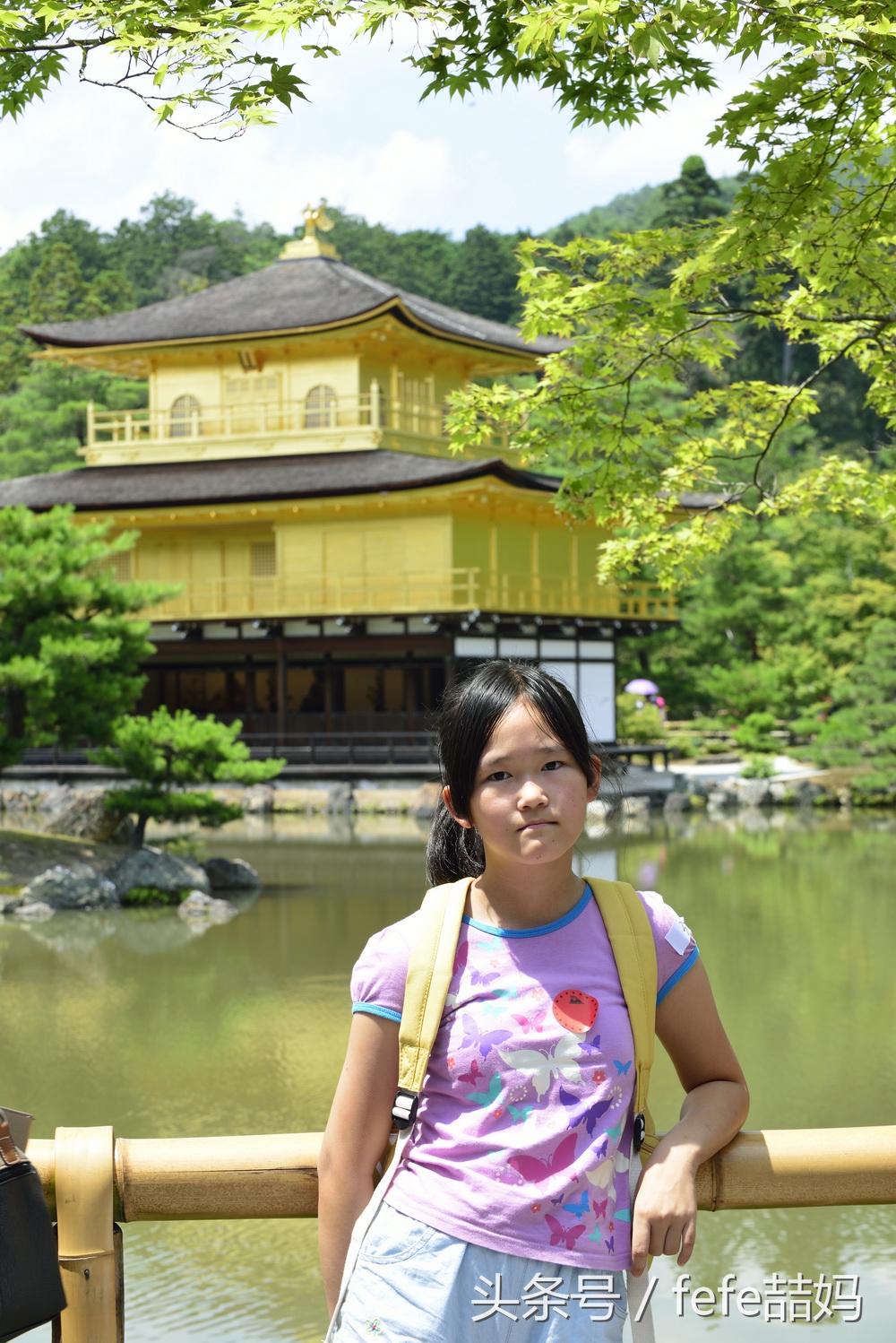 丽星邮轮日本游攻略视频,丽星邮轮厦门启程日本旅游