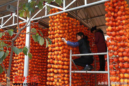 产业扶贫全覆盖,富平县打造三大百亿产业集群