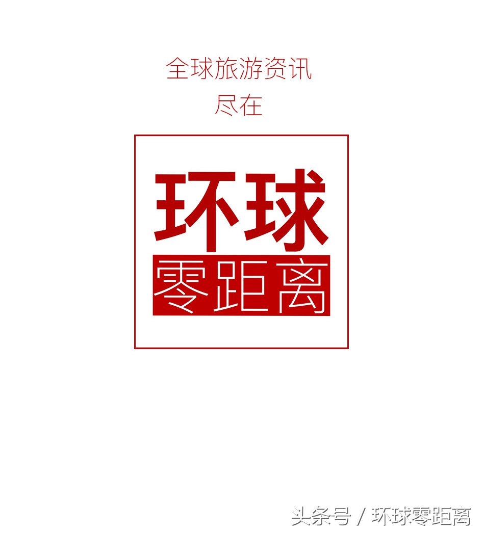 宠物行旅,宠物徒步活动成都