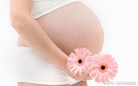 胎教音乐怎么不动了,胎教音乐为什么有用