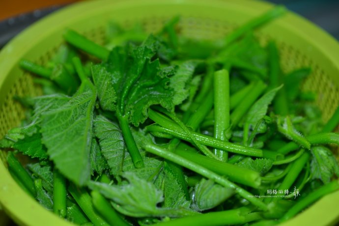 植物美图笔记~各种瓜（葫芦科植物）