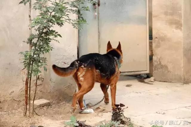 我来自廉江农村，你愿意跟我结婚吗？