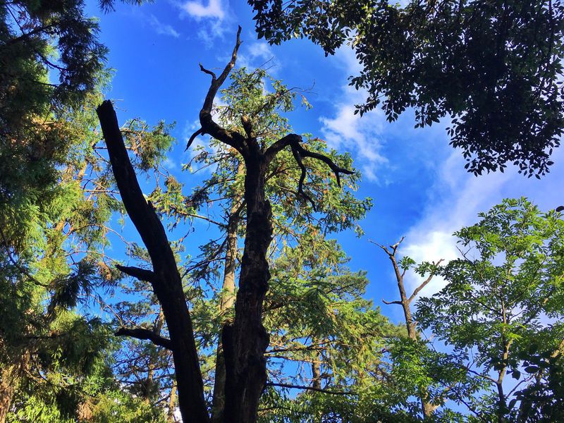 一场说走就走的夏日旅游,一场说走就走的山水旅游