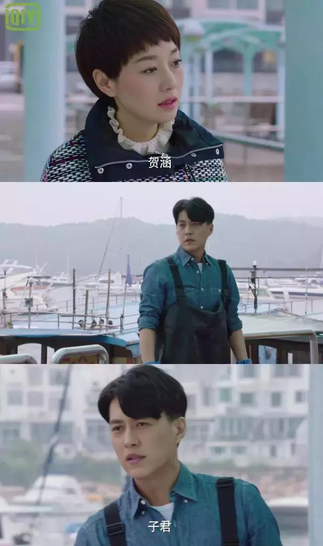 我的前半生贺涵罗子君大结局,贺涵罗子君的电视剧大结局