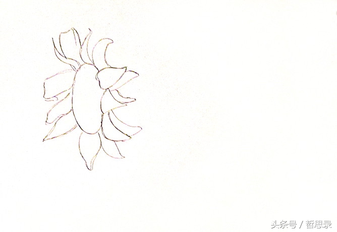 初学者画向日葵的详细教程,向日葵绘画教程简单易学