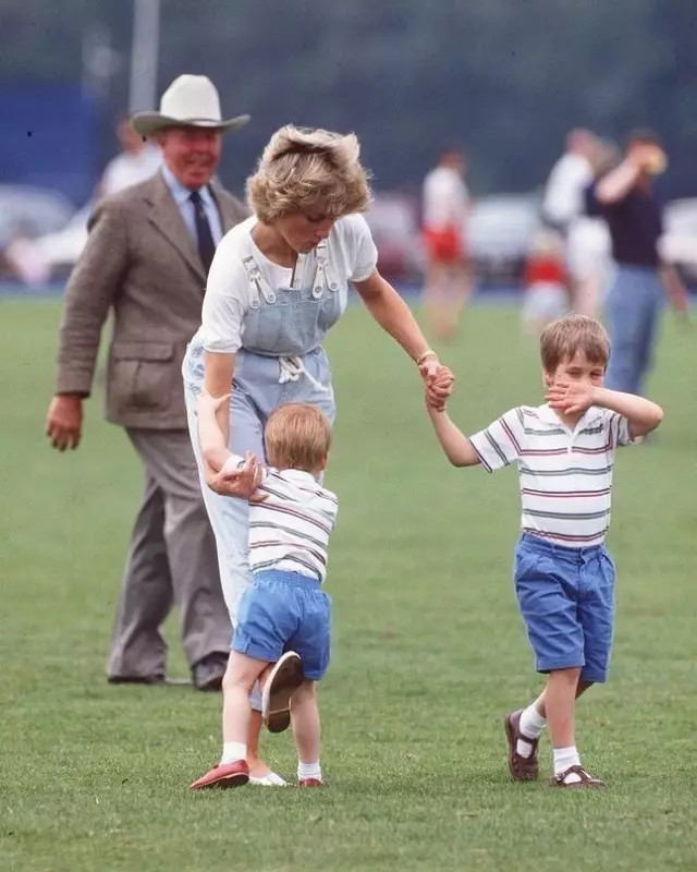 威廉王子兄弟追忆戴安娜王妃,威廉王子兄弟看戴安娜纪录片