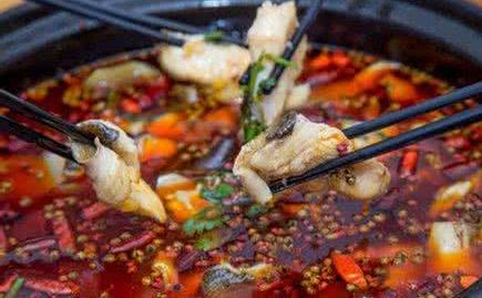 从不吃鱼的小孙一顿吃了2斤鱼火锅，吃这个上瘾（附鱼火锅制作