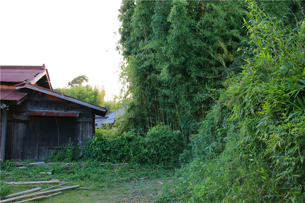 日本成田机场到市区最早几点,成田机场到东新宿