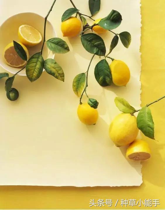 平价抗皱美白精华测评,美白精华推荐59块钱的是哪一种