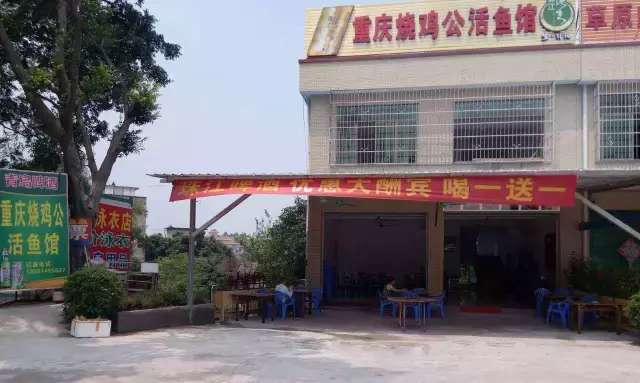 正宗清远鸡石锅鱼,清远猪肚鸡石锅鱼