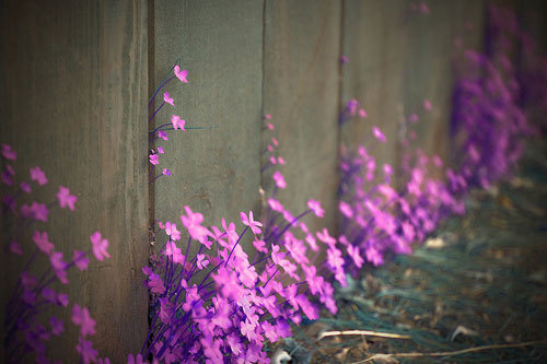 想哭却哭不出来怎么办,想哭却哭不出来是哪首歌歌词