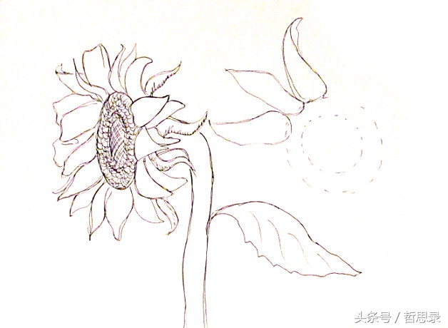 初学者画向日葵的详细教程,向日葵绘画教程简单易学