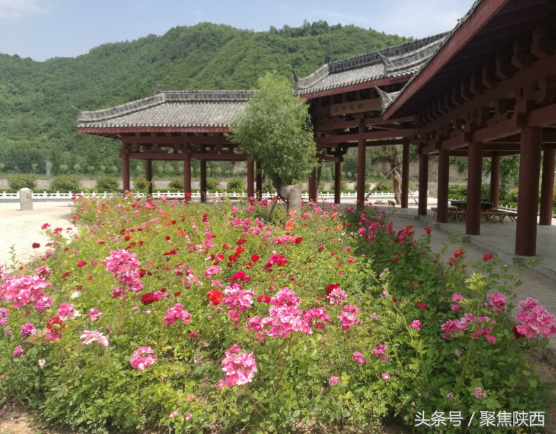 陕西陈家湾景区,陕西黄河湾风景