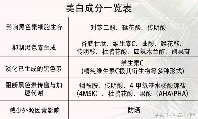 平价抗皱美白精华测评,美白精华推荐59块钱的是哪一种
