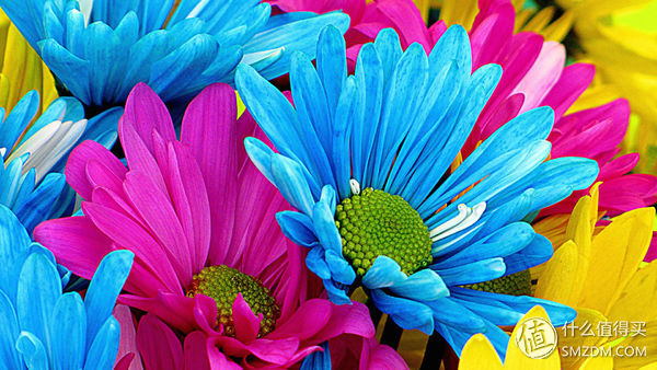 米家激光投影电视1s4k,米家激光投影和米家激光电视