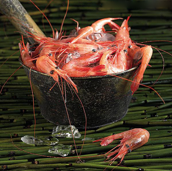 孩子挑食做个什么家常菜,孩子挑食不爱吃饭做什么菜