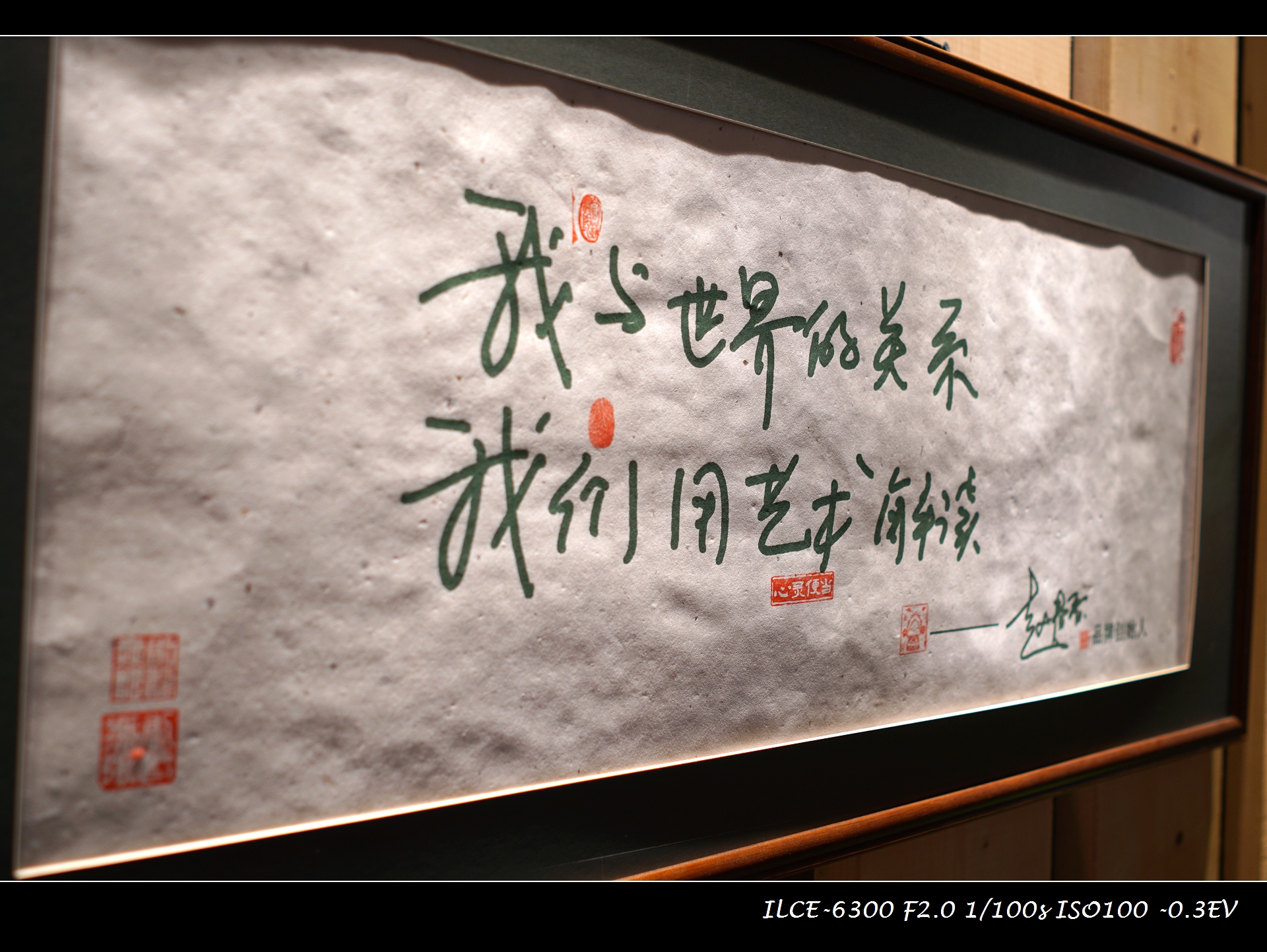 索尼微单a6000和a6300,索尼a6300微单摄影入门教程