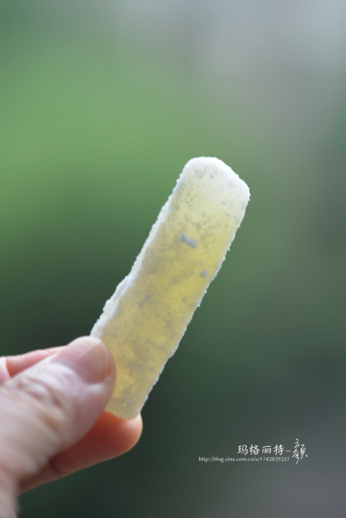 植物美图笔记~各种瓜（葫芦科植物）